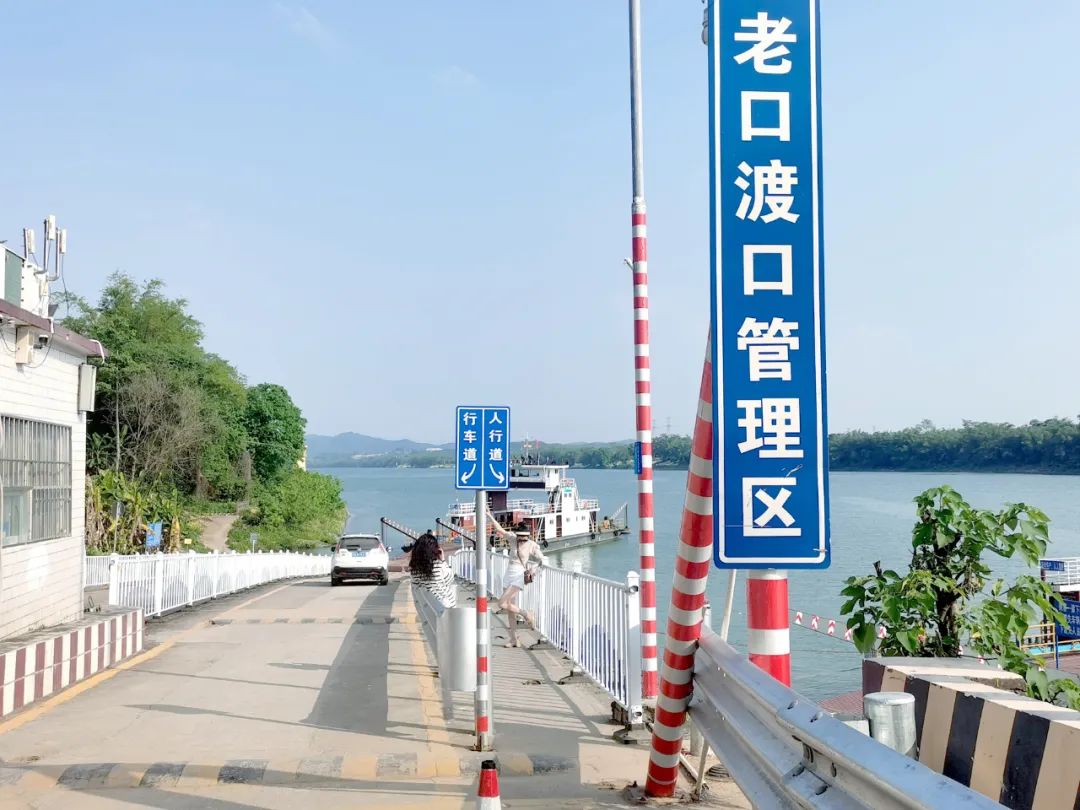 吴淞江上最后一个渡口，游荡在沪苏边界的摆渡船，花2元钱乘一回_万狮